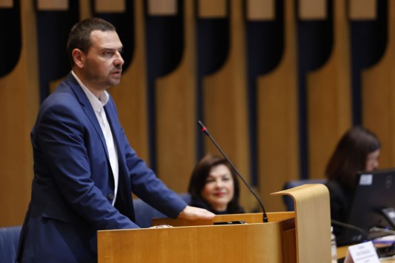 Predsjedavajući Delegacije PSBiH u PSVE Saša Magazinović obratio se poslanicima zemalja Vijeća Evrope